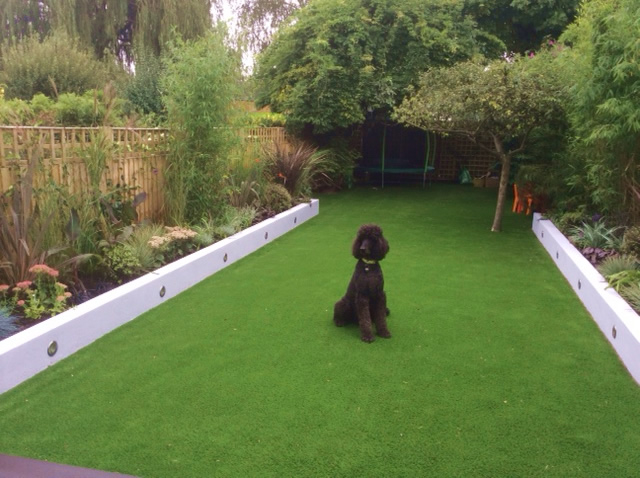 Artificial lawn with poodle