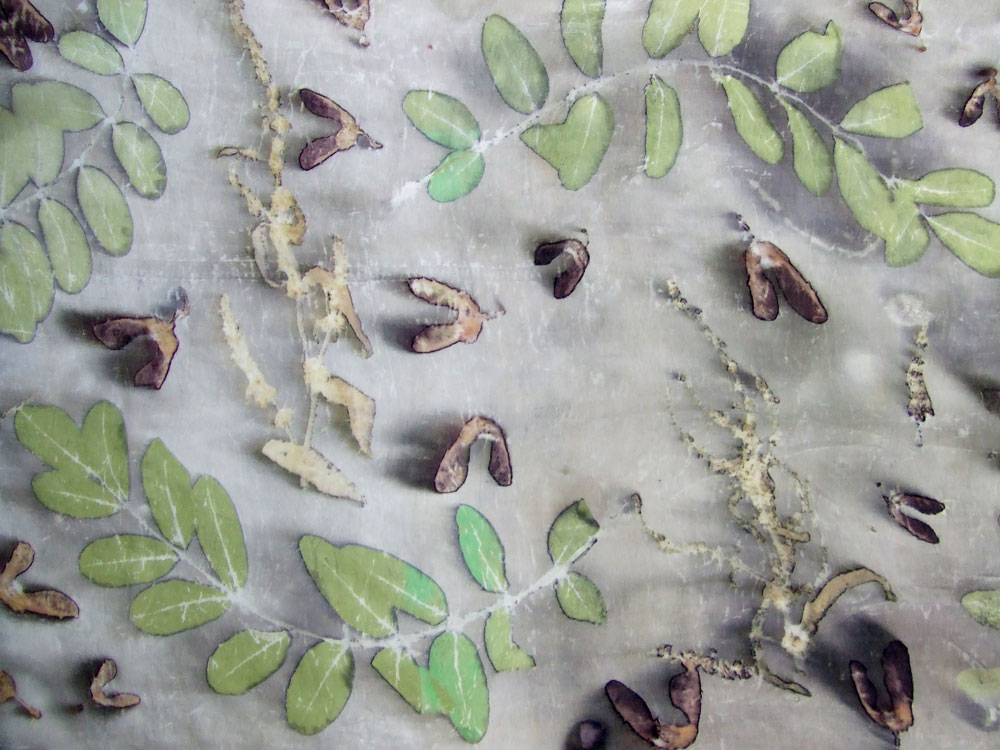 Ecoprint of robinia and sycamore on silk