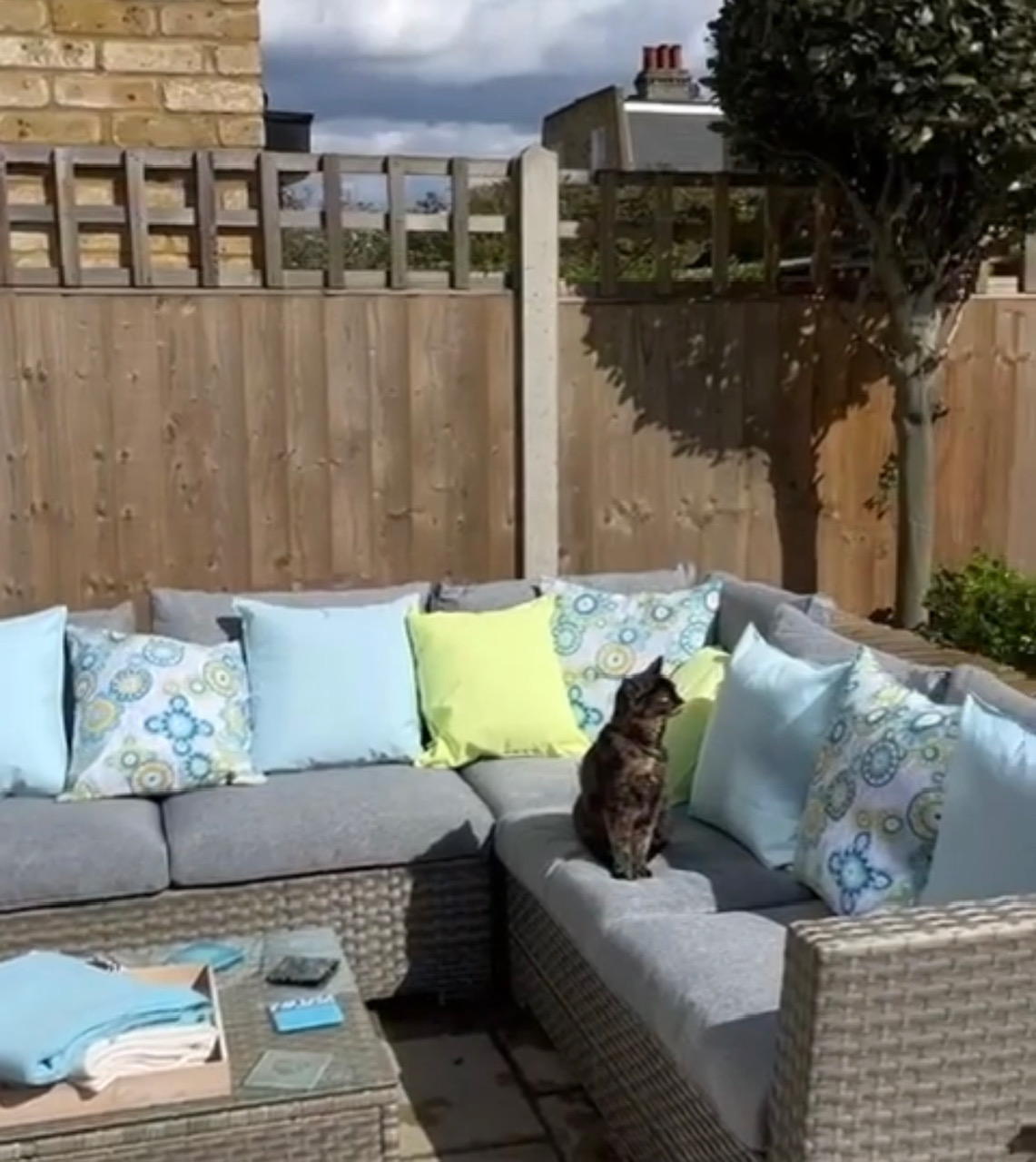 outdoor garden furniture with blue cushions and cat